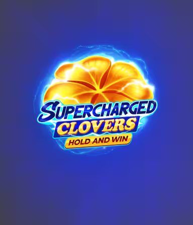 6697da3722f0136129b5ef1b X-Casino